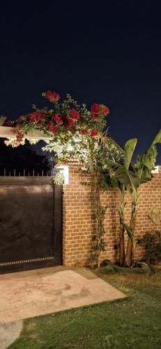 Taman di luar Courtyard By Palm -3BKH Mini Farm House