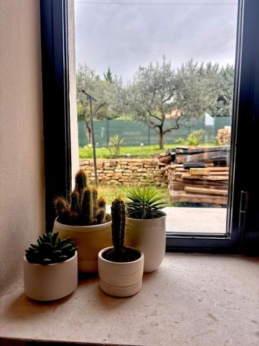 four potted plants sitting on a window sill at Brin d'Olivier en Luberon in Gargas
