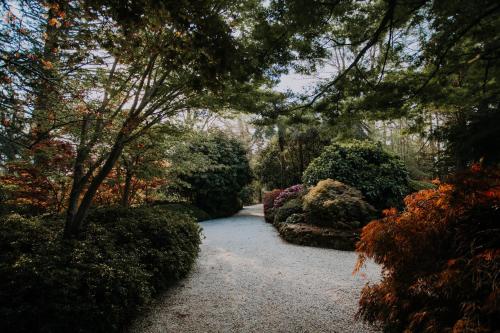 a path through a garden with trees and bushes at Dennarque Estate in Mount Wilson