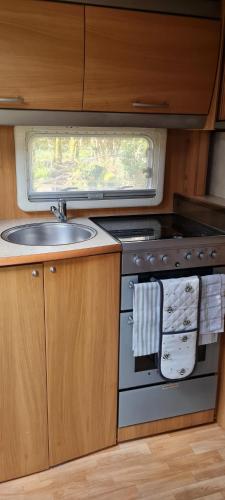Kuchyň nebo kuchyňský kout v ubytování Cara Cabin Self Catering Tiny Home