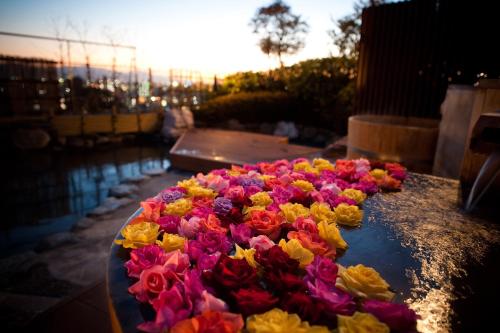 un montón de flores coloridas sentadas en una mesa en Chaharu, en Matsuyama