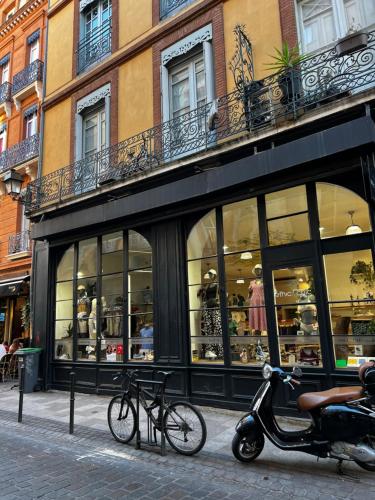 Toulouse Capitole superbe appartement