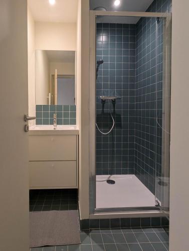 une salle de bain avec douche et lavabo dans l'établissement Appartement Saint Ruf, à Avignon