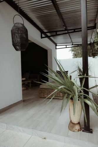 Gambar di galeri bagi Out of Africa Town Lodge di Otjiwarongo