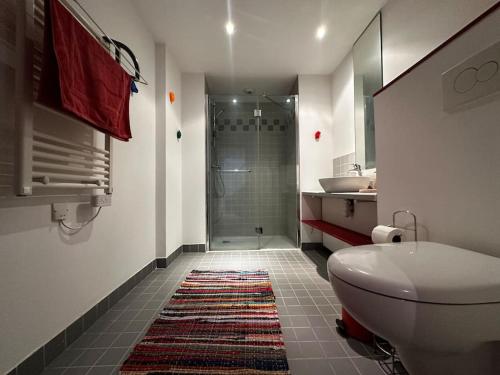 a bathroom with a shower and a toilet and a sink at Mont Blanc view on a 40m2 Terrace in Passy
