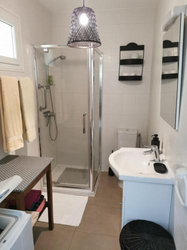 une salle de bain avec douche et lavabo dans l'établissement U Casetta, à Patrimonio