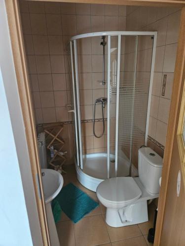 a bathroom with a shower and a toilet and a sink at Pokoje gościnne Zosia in Kościelisko