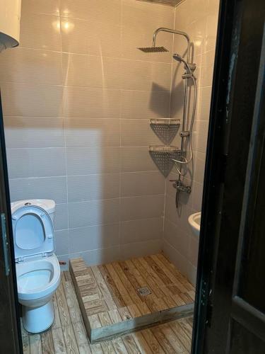 a bathroom with a toilet and a bath tub at Tiko's Apartments in Gonio in Gonio