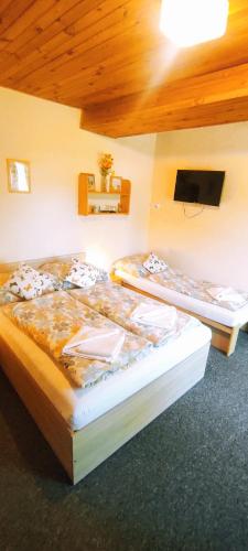 two beds in a room with a tv on the wall at Pension Bílý Hořec in Vrchlabí
