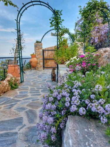 Giardino di To giataki tou pappou