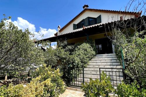 Foto Estate Tsiati 6