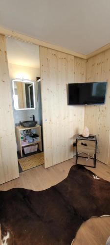 Chez Claudine et Charles - Crans-Montanaにあるテレビまたはエンターテインメントセンター