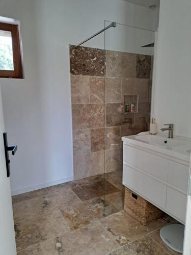 une salle de bain avec un lavabo et une douche en verre dans l'établissement L'Echo de la Nature, à Sasseville