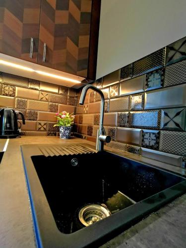 a kitchen with a sink with a faucet at Villa Wellness Budapest in Budapest