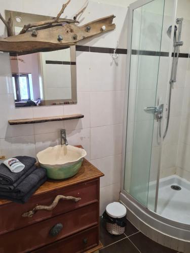 une salle de bain avec un lavabo et une douche en verre dans l'établissement Appart Duplex 65 m2 style rustique, à Les Vigneaux