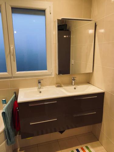 une salle de bain avec un lavabo et un miroir dans l'établissement Pavillon familial avec grand jardin, à Villepreux