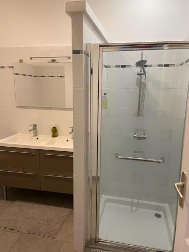 une salle de bain avec une douche en verre avec un lavabo dans l'établissement Les 3 Cépages - Gîte, à Épernay