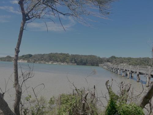a view of a bridge over a river at The Bungalow - Luxurious & Calm - Beach and Bush Retreat in Valla Beach