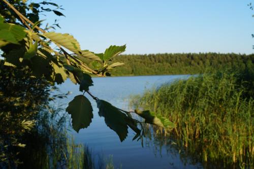 a view of a lake with trees in the background at Hotel Kleines Meer in Waren