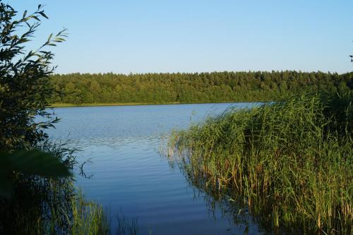 a large body of water with trees in the background at Hotel Kleines Meer in Waren