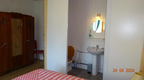a small bathroom with a toilet and a sink at Le Bord de Loue in Chenecey-Buillon