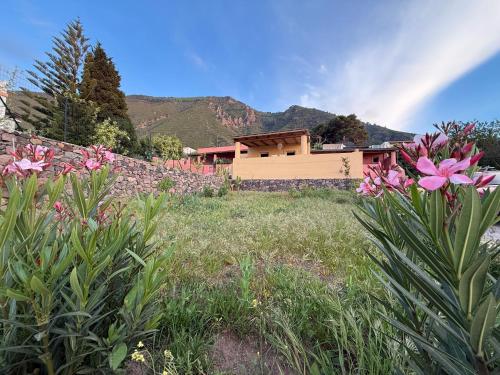 a garden with pink flowers in front of a house at La Casuzza - garden and terrace sea view in Malfa