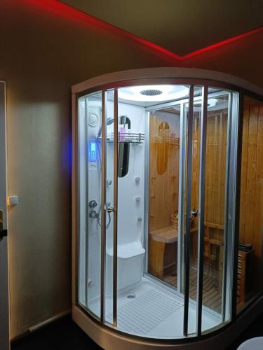 Cette chambre dispose d'une douche en verre. dans l'établissement Studio calme avec jacuzzi accès bus direct gare, à Villeurbanne