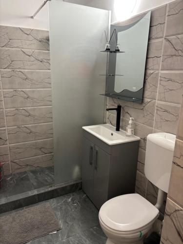 Un baño con inodoro, lavabo y espejo. en EMC Apartament ultracentral, en Craiova