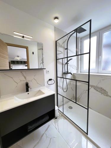 une salle de bain avec un lavabo et une douche en verre dans l'établissement Suite Aube-Studio 2 pers lumineux centre ville, à Charleville-Mézières
