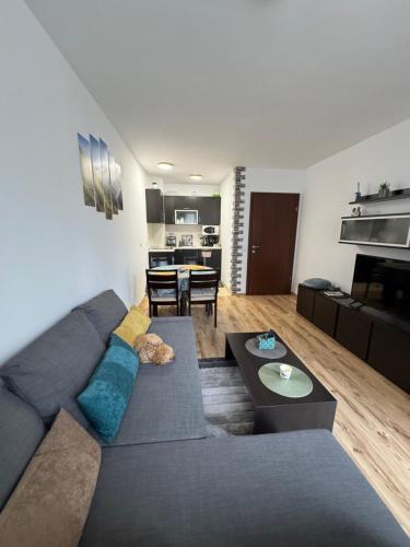a living room with a couch and a table at Borovets Gardens MVS Apart D42 in Borovets