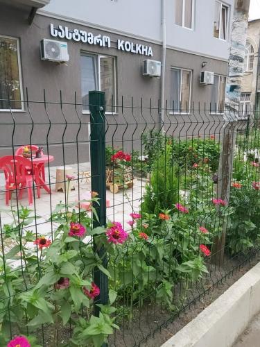 Zahrada ubytování Kolkha - 1Kolkheti street