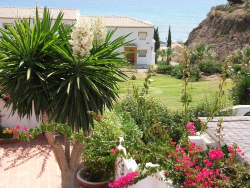 einen Garten mit Pflanzen und Blumen vor einem Haus in der Unterkunft Torrox Beach Club in Torrox