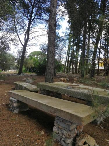 Ein Garten an der Unterkunft Villa in a lovely olive grove 10 minutes from the sea Ada residence