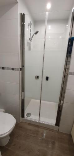 une cabine de douche dans une salle de bain avec toilettes dans l'établissement Studio charmant à Villeneuve-Loubet, 19 m², Climatisation, à Villeneuve-Loubet