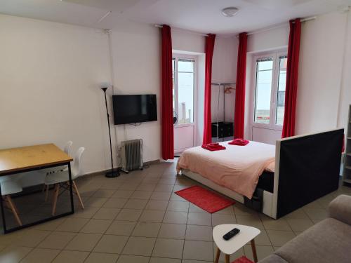 a bedroom with a bed and a desk and a tv at Soca treasure with free parking in Bovec