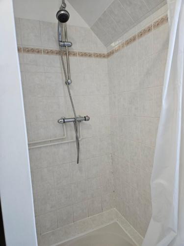 une douche avec un rideau de douche dans une salle de bain dans l'établissement Studio confortable 3 places, à Vannes