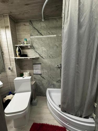 un bagno con doccia e un WC bianco di Hotel a Chişinău