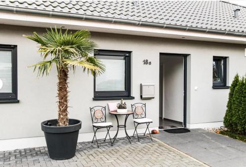 a palm tree in front of a house with a table and chairs at großzügige Unterkunft mit Terrasse in Oberbrechen