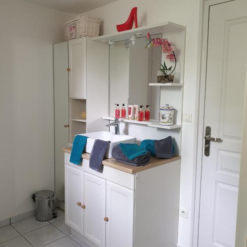 un bagno bianco con lavandino e specchio di Logement indépendant chez l'habitant, situé dans les Pyrénées a Bordères-sur-lʼÉchez