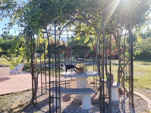 Gîte en Provence ''Rose''