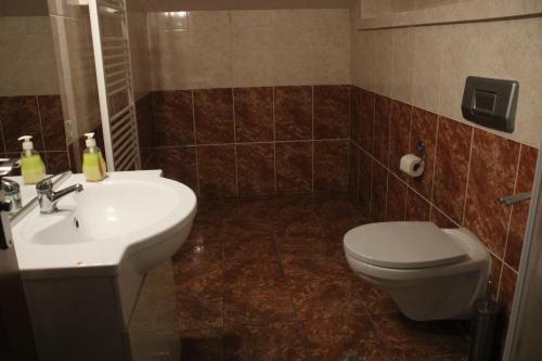 a bathroom with a sink and a toilet at Sporthotel Patriot in Litoměřice