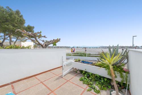 Apartment Just on the beach in Port Alcudia