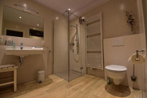 a bathroom with a shower and a toilet and a sink at Ferienwohnung Zum Geisberg in Ockfen