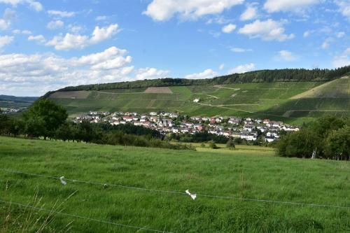 a green field with a fence in the foreground at Ferienwohnung Zum Geisberg in Ockfen