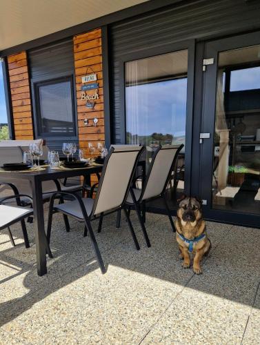 ANDESA Mobile Home Pirovac- Perfect vacation in a campsite with a pool, few steps from the sea!