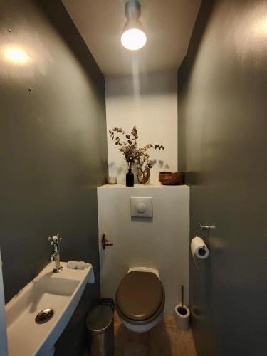une petite salle de bain avec toilettes et lavabo dans l'établissement L'Ecrin de Pierres en Campagne, à Baron