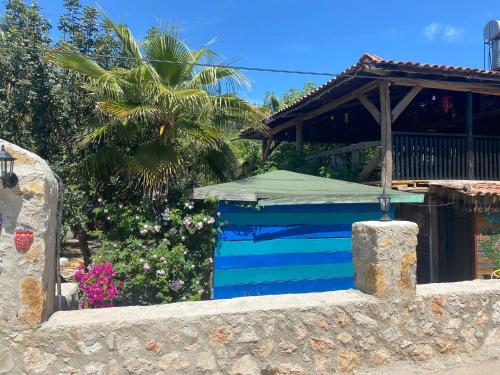 a house with a blue swimming pool with a palm tree at Kadir's Family House in Olympos