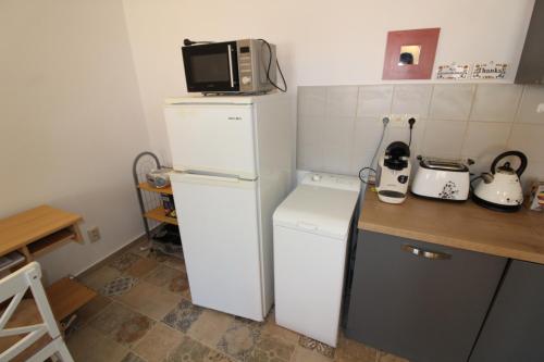 a kitchen with a white refrigerator and a microwave at Guest House Mengsdorf in Mengusovce