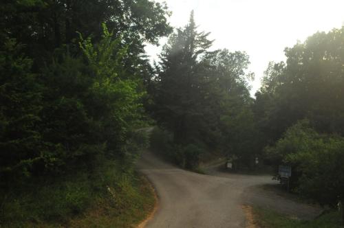 a dirt road in the middle of a forest at Respira Glamping Alta Garrotxa in Montagut