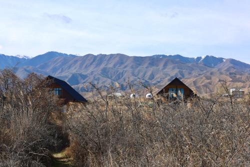 アパートメントから撮影された、または一般的な山の景色